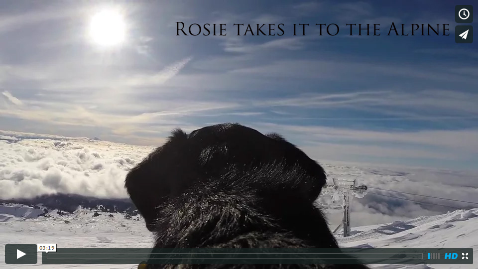rosietakesittothealpine